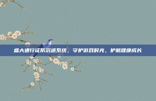 盛大通行证防沉迷系统，守护游戏时光，护航健康成长