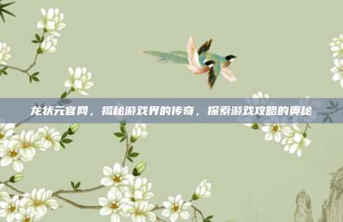 龙状元官网,揭秘游戏界的传奇,探索游戏攻略的奥秘