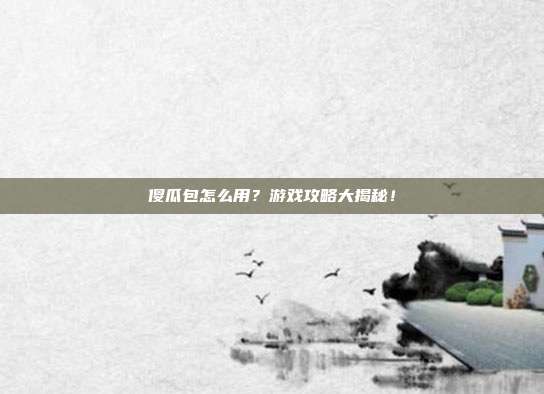 傻瓜包怎么用?游戏攻略大揭秘!