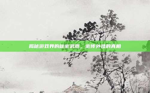 揭秘游戏界的秘密武器,密传外挂的真相