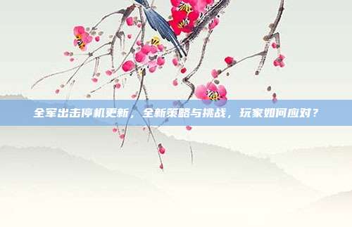 全军出击停机更新,全新策略与挑战,玩家如何应对?