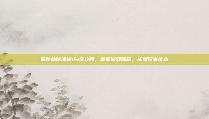 揭秘神秘海域1白金攻略,掌握游戏精髓,成就玩家传奇