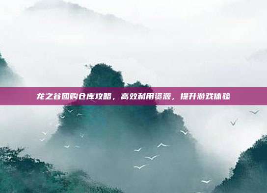 龙之谷团购仓库攻略,高效利用资源,提升游戏体验