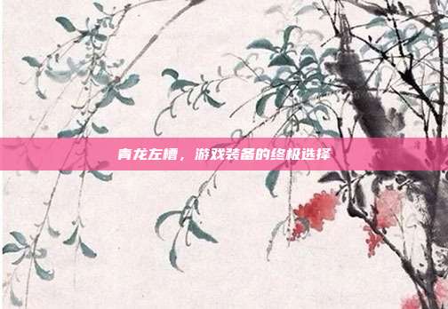 青龙左槽，游戏装备的终极选择