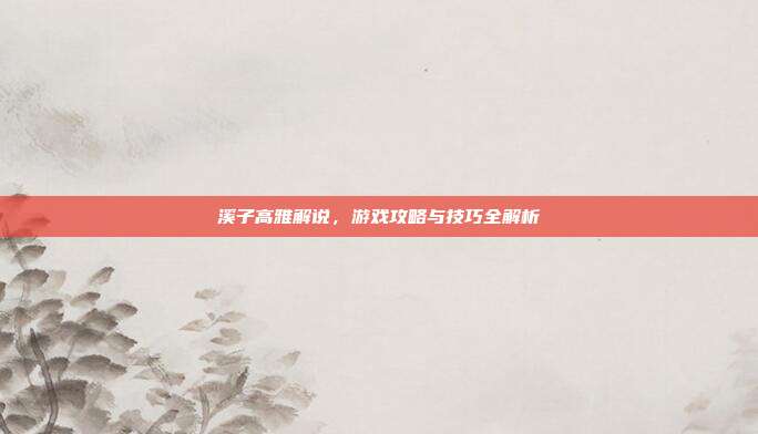 溪子高雅解说,游戏攻略与技巧全解析