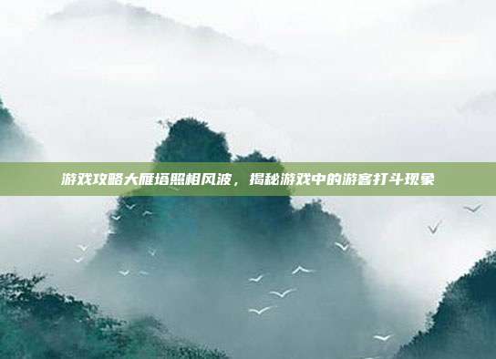 游戏攻略大雁塔照相风波,揭秘游戏中的游客打斗现象