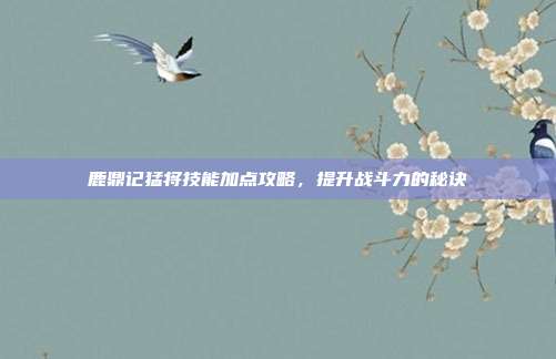 鹿鼎记猛将技能加点攻略，提升战斗力的秘诀