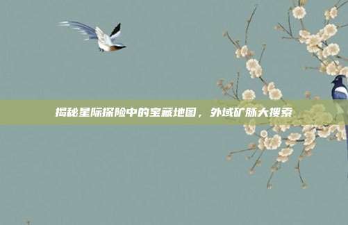 揭秘星际探险中的宝藏地图,外域矿脉大搜索