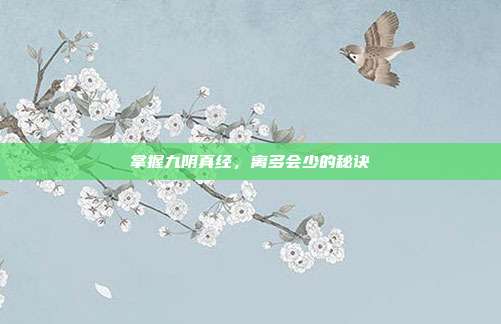 掌握九阴真经,离多会少的秘诀