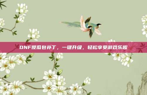 DNF傻瓜包补丁,一键升级,轻松享受游戏乐趣