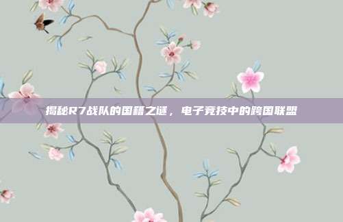 揭秘R7战队的国籍之谜,电子竞技中的跨国联盟