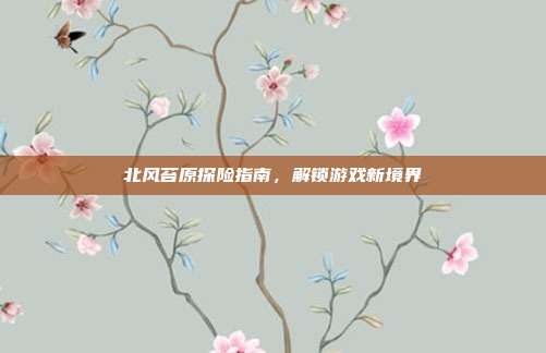 北风苔原探险指南,解锁游戏新境界