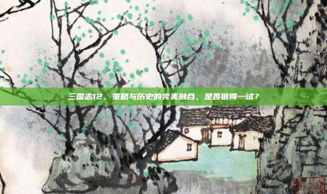 三国志12,策略与历史的完美融合,是否值得一试?