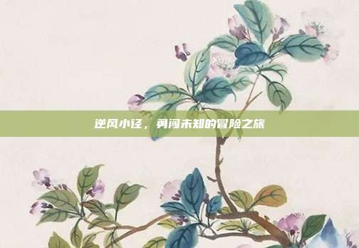 逆风小径,勇闯未知的冒险之旅