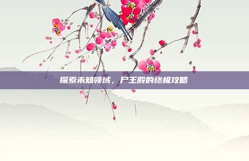 探索未知领域,尸王殿的终极攻略