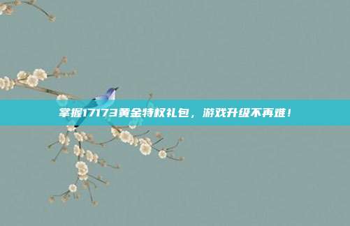 掌握17173黄金特权礼包,游戏升级不再难!