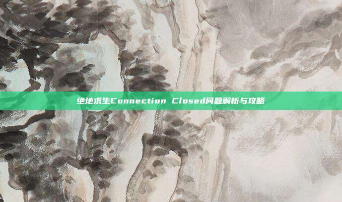 绝地求生Connection Closed问题解析与攻略
