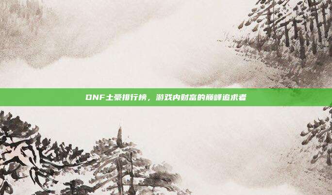 DNF土豪排行榜,游戏内财富的巅峰追求者