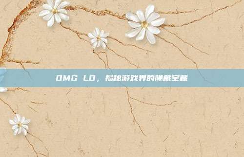 OMG LD，揭秘游戏界的隐藏宝藏