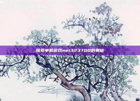 探索单机游戏net323700的奥秘