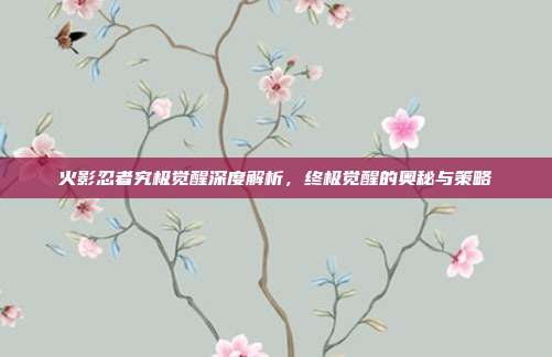 火影忍者究极觉醒深度解析,终极觉醒的奥秘与策略