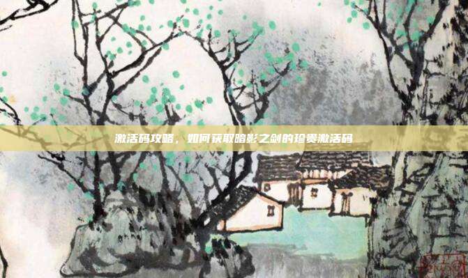 激活码攻略,如何获取暗影之剑的珍贵激活码