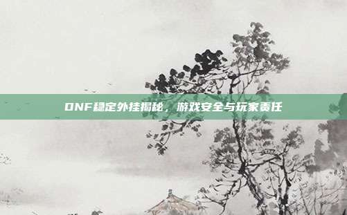 DNF稳定外挂揭秘,游戏安全与玩家责任