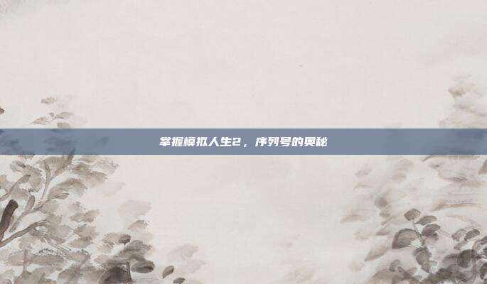 掌握模拟人生2,序列号的奥秘