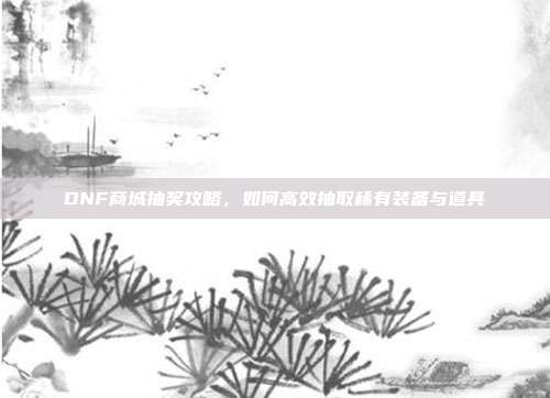 DNF商城抽奖攻略,如何高效抽取稀有装备与道具