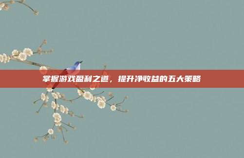 掌握游戏盈利之道,提升净收益的五大策略