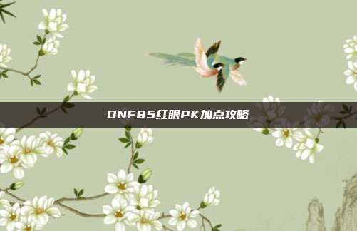 DNF85红眼PK加点攻略