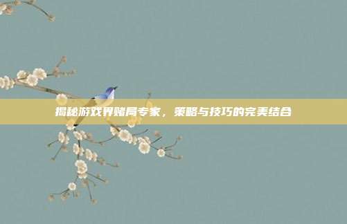 揭秘游戏界赌局专家,策略与技巧的完美结合