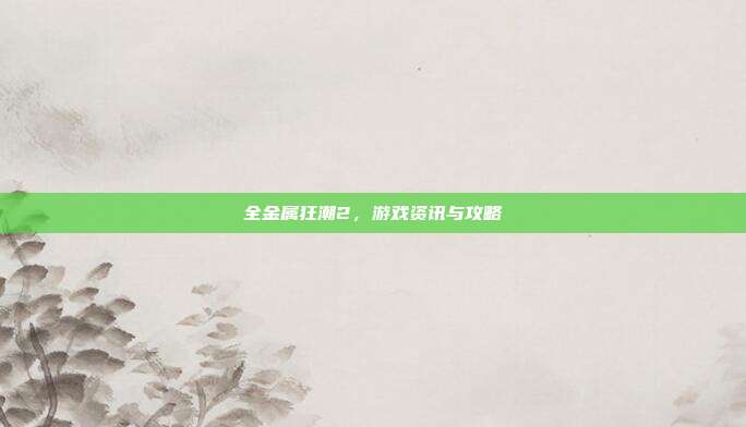全金属狂潮2，游戏资讯与攻略