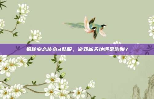揭秘变态传奇3私服,游戏新天地还是陷阱?
