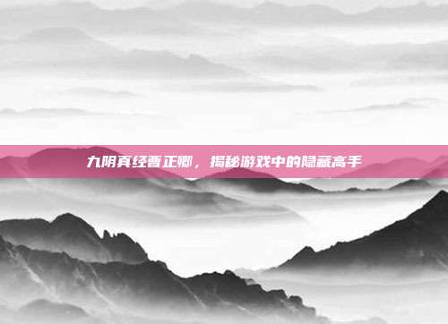 九阴真经曹正卿,揭秘游戏中的隐藏高手