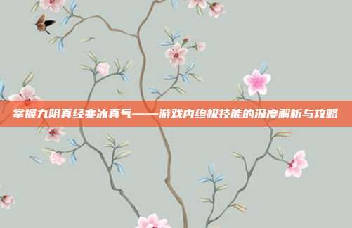掌握九阴真经寒冰真气——游戏内终极技能的深度解析与攻略