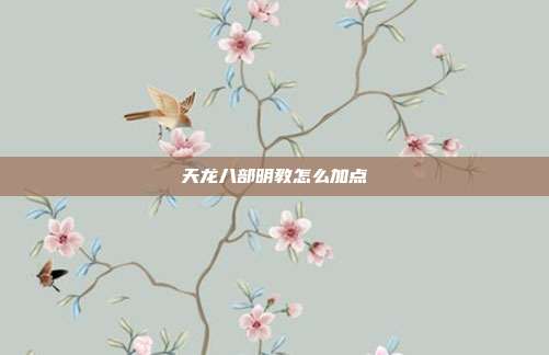 天龙八部明教怎么加点