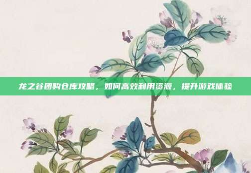 龙之谷团购仓库攻略,如何高效利用资源,提升游戏体验
