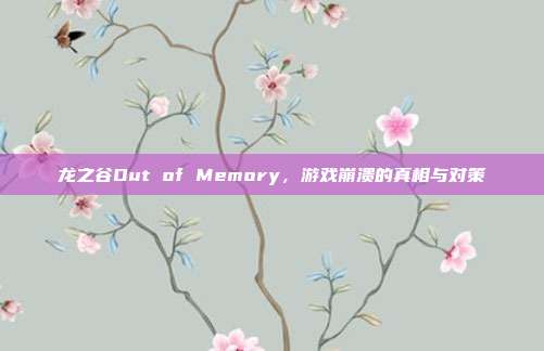 龙之谷Out of Memory,游戏崩溃的真相与对策
