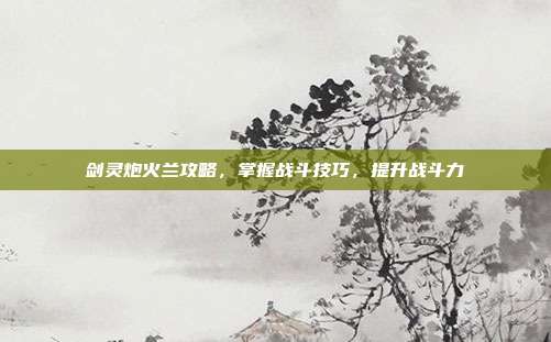 剑灵炮火兰攻略,掌握战斗技巧,提升战斗力