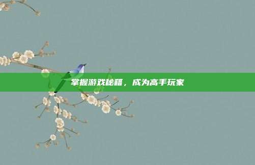 掌握游戏秘籍,成为高手玩家