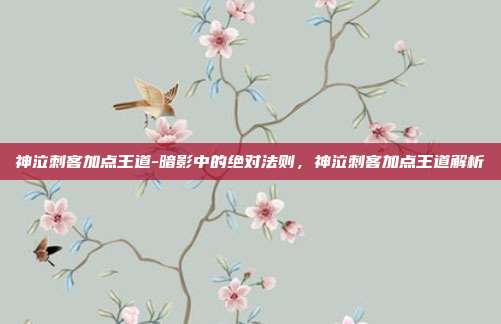 神泣刺客加点王道-暗影中的绝对法则,神泣刺客加点王道解析