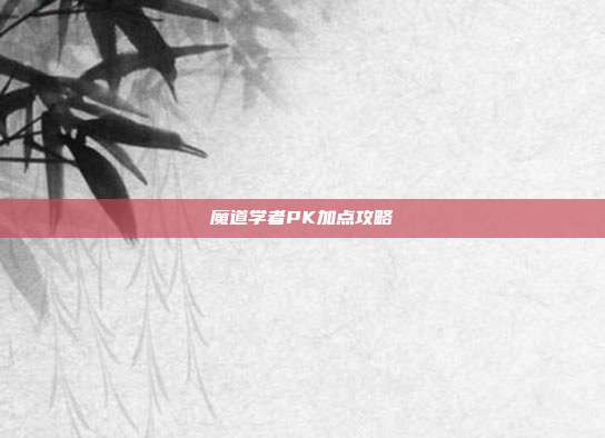 魔道学者PK加点攻略