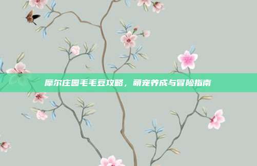 摩尔庄园毛毛豆攻略,萌宠养成与冒险指南