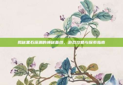 揭秘黑石深渊的神秘面纱,游戏攻略与探索指南