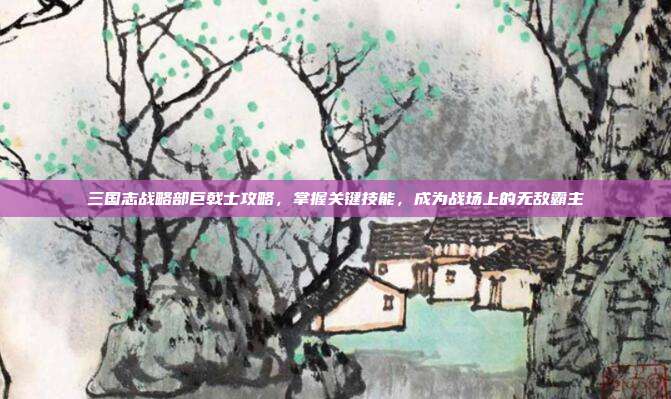 三国志战略部巨戟士攻略,掌握关键技能,成为战场上的无敌霸主