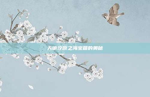 天谕汐原之海宝箱的奥秘