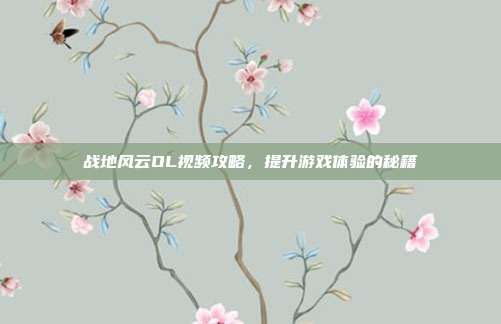 战地风云OL视频攻略，提升游戏体验的秘籍