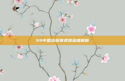 S4中国选拔赛视频深度解析