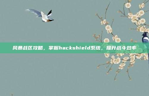 风暴战区攻略，掌握hackshield系统，提升战斗效率